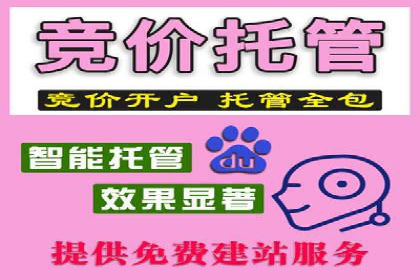 解析SEM竞价代运营公司的效果：ROI大幅提升的秘诀